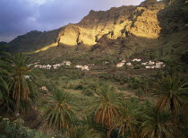 Valle Gran Rey.  Houses on terraced hillside at foot of sheer craggy rock face with date palms in the foreground.