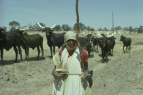Young Fulani herdsman and longhorn cattle.Bororo Fulbe Peul