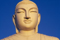 India, Sri Lanka,  Anuradhapura, buddha in monastery, detail of head.