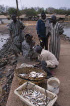 Fishermen on Gambia river quayside selling freshly caught fish