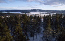 Snow covered landscape with pine trees and distant town
