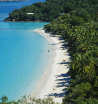 Trunk Bay. View over tree covered coastline with bright blue water and narrow  curved  sandy beach with distant sunbathers and swimmers.