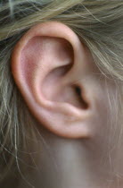 Close view of the ear of a seven year old girl.