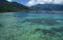 Panuba Bay.  View over clear water and coral garden towards forest covered island.