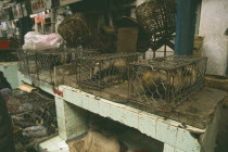 Caged badgers in the market for sale as food