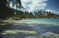 Coral Bay.  View along sandy beach toward bay with surrounding rocks lined with palms