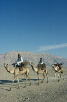 Camel train in desert. 3 camels 2 riders hills behind