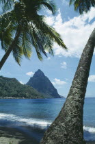 The Pitons framed by palm trees on beach in the foreground.Windward IslandsWindward Islands