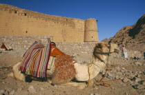 Camel lying down outside the walls of the monastery
