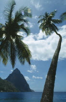 The Pitons with palm trees in the foreground.Windward IslandsWindward Islands