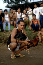 philippines, cock fighting, man holding cockerell in readiness for bout.
