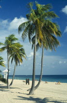 Quiet sandy beach lined with palm trees overlooked by lifeguard tower.
