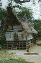Traditional Batak house with grain drying on mats outside near Lake Toba.
