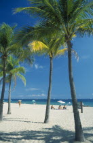 Quiet white sand beach lined by palm trees.