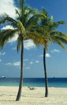 Sunbather on sandy beach framed by palm trees.