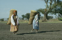 Two women carrying sacks of hay on their backs.