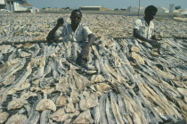 Laying out fish to dry on metal racks.