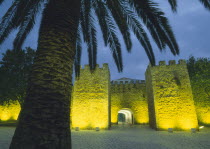 Medieval city gate of Forte Ponta da Bandeira illuminated at night with silhouetted palm tree in the foreground.fort