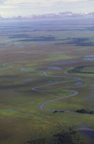 Llanos wetlands during rainy season.