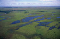 Llanos wetlands during rainy season.