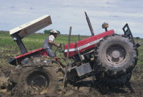 Tractor stuck in a rice field  owned by Lasmo Oil.