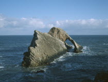 Bowfiddle Rock.  Natural rock arch and seabirds on the north coast east of the village of Portknockie.