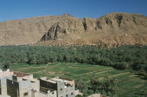 Town buildings overlooking agricultural land and oasis.Tinerhir Tinghir