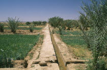 Irrigation channel through cultivated area.