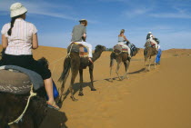Guide leading tourist camel train through desert landscape.