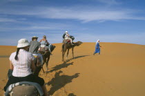 Guide leading tourist camel train through desert landscape.