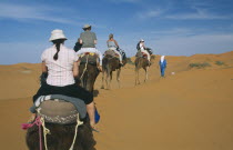 Guide leading tourist camel train through desert landscape.