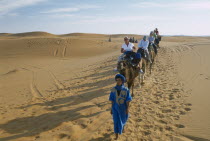 Guide leading tourist camel train through desert landscape.