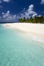 The beach at Palm Island ResortBeaches Caribbean Sand Sandy Seaside Shore Tourism West Indies Windward Islands Scenic Beaches Caribbean Sand Sandy Seaside Shore Tourism West Indies Windward Islands...