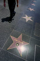Hollywood. Pink marble and bronze stars embedded into Hollywood Boulevard sidewalk aka Hollywood walk of FameJoan Collins