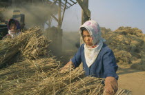 Women harvesting flood damaged rice crop.