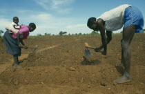 Single child family working in the field