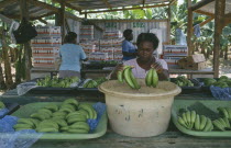 Woman dipping bunches of bananas in ripening agent at the Eastern Plantation