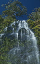 Moran Falls.  Top of the falls cascading over rocks amongst trees and other vegetation.