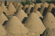 Beehive mud houses