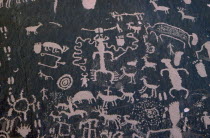 Petroglyphs 4448