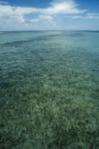 Clear shallow water