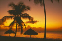 Sunset at sea through coconut palm trees with thatched shelters on beach