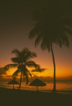 Sunset at sea through coconut palm trees with thatched shelters on the beach