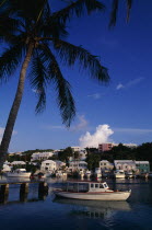 Old motor boat moored in harbour under palm tree  waterside buildings and other moored boats behind.Bermudian West Indies Scenic