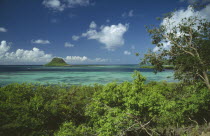 Small island and coral reefs seen from above trees