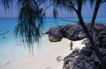 Female tourist in dress walking along the beach towards rocks seen through trees. Clear turquoise sea.Beaches Bermudian Resort Sand Sandy Seaside Shore Tourism West Indies Holidaymakers Sightseeing T...