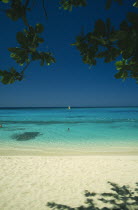 Beach through mangrove trees with swimmers in shallow water and windsurfer out at sea