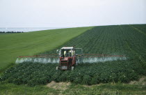 Spraying potato crop with pesticide