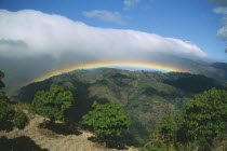 Rainbow and bank of cloud over coffee plantation trees