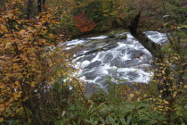 Rushing water and autumn colours at Ryuzunotaki waterfall  colors